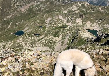 Trail Walking Valdeblore - Mont  Pepoiri - Photo