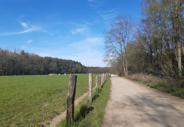 Trail Walking Oud-Heverlee - petit tour'tje autour de la caserne d Heverlee  - Photo