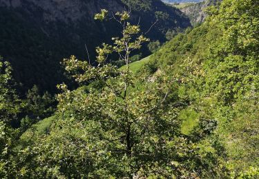 Trail Nordic walking Icogne - bisse du claveau  - Photo