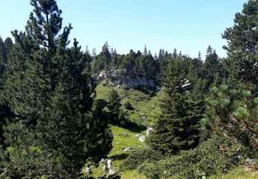 Randonnée Marche Sainte-Marie-du-Mont - col de l'Alpes - Photo