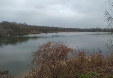 Randonnée Marche Saint-Germain-en-Laye - cora - Photo