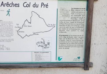 Tour Wandern Beaufort - Areches a pied - Photo