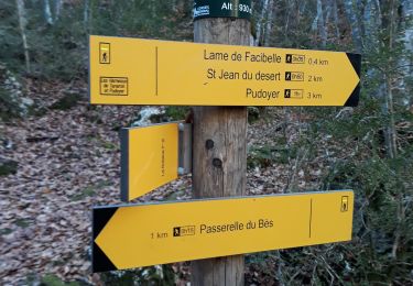 Tour Wandern La Javie - lame de facibelle - Photo