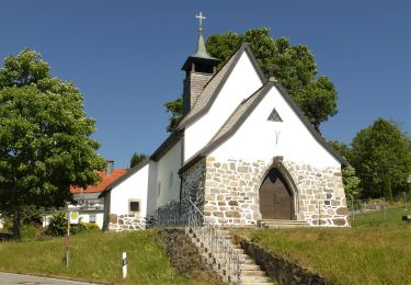 Randonnée A pied Neuschönau - Zaunkönig - Photo