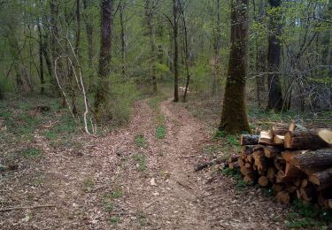 Tocht Stappen Besançon - TILLEROY POULEY LES VIGNES - Photo