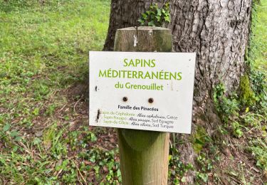 Trail Walking Gorniès - L’oppidum de la culasse - Photo