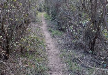Trail Walking Mazan - Boucle NdA - Photo