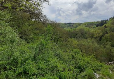 Trail Walking Modave - Promenade du rocher de vieux château  - Photo