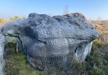 Tour Wandern Noisy-sur-École - Canche aux Merciers 01-03-23 - Photo