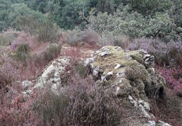 Trail Walking Monestier-Merlines - circuit des ermites.Monestier Merlines - Photo