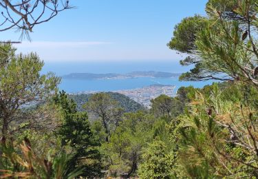 Tocht Stappen Toulon - m'ont faron - Photo