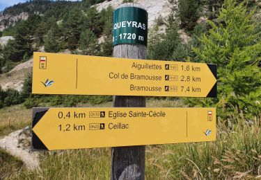 Trail Walking Ceillac - Boucle crête du Riou Vert et  Col de Bramousse - Photo