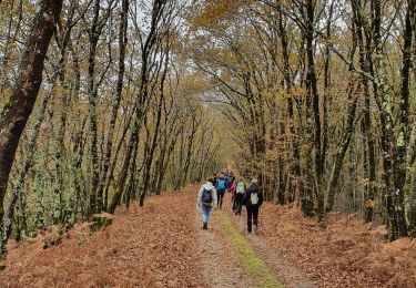 Trail Walking Le Porge - Le porge - Photo