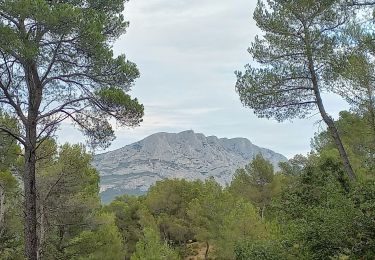 Randonnée Marche Le Tholonet - Le Tholonet Beaurecueil - Photo