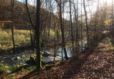 Tocht Stappen Baelen - Helle et Soor - Photo