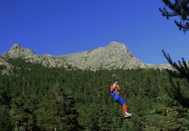 Percorso A piedi Navacerrada - Senda del Valle de la Barranca - Photo