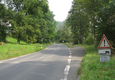 Tocht Te voet Meißner - Premiumweg P 23 Höllental - Photo