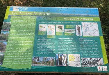 Excursión Senderismo Les Sables-d'Olonne - Sentier Les Bourbes - Photo