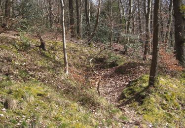 Trail On foot Balve - Deilinghofen Rundweg 3 - Photo