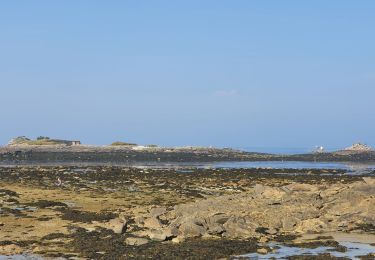 Tocht Stappen Roscoff - Roscoff - Photo