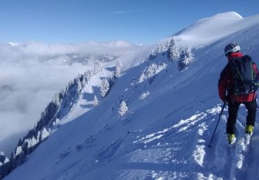 Tour Skiwanderen Serraval - Montagne de Sulens couloir Nord ouest - Photo