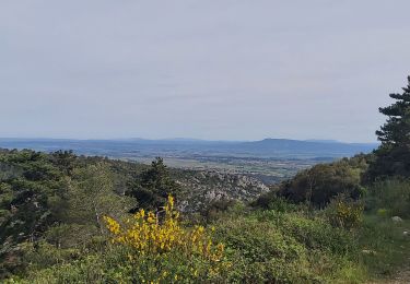 Tocht Stappen Caunes-Minervois - Caunes/Mayrac/Caunes le 22 avril 2022 - Photo