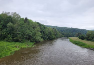 Trail Walking Vresse-sur-Semois - rando vresse sur semois 2-06-2024 - Photo