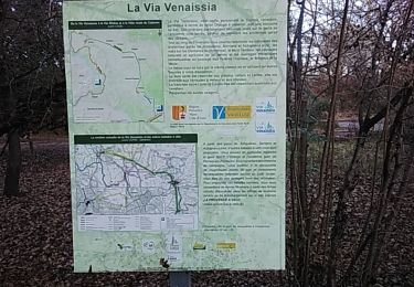 Trail Walking Loriol-du-Comtat - loriol aubignan    84 - Photo