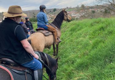 Trail Horseback riding Baccarat - Vendredi 8 mars 23 chez Alex Tivio  - Photo