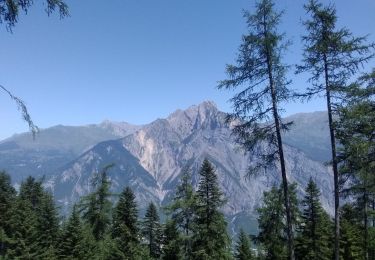 Trail Road bike Saint-Michel-de-Maurienne - col d'albanne et lac de Pramol - Photo