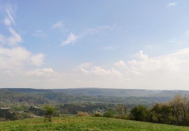 Tocht Wegfiets Trooz - Par Presseux - Photo