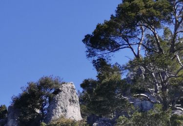 Trail Walking Signes - Tour du baou de Serein - Photo