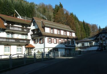 Percorso A piedi Bad Peterstal-Griesbach - Trogloch-Rohrenbacher Blick - Photo