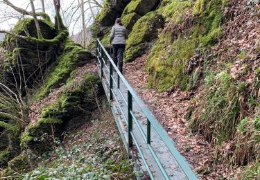 Trail Walking Vresse-sur-Semois - A - Photo