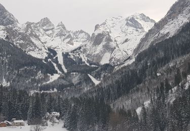 Tocht Sneeuwschoenen Pralognan-la-Vanoise - raquette pralognan - Photo