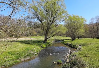 Tocht Stappen Blieberg - Vallée de la Gueule et réserve de Plombières - Photo