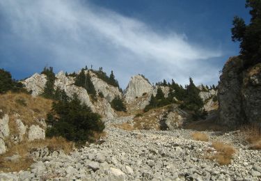 Percorso A piedi Sconosciuto - Cabana Curmătura-Vf. Piatra Mică-traseul BG - Photo