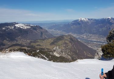 Tour Schneeschuhwandern Lans-en-Vercors - le moucherotte - Photo