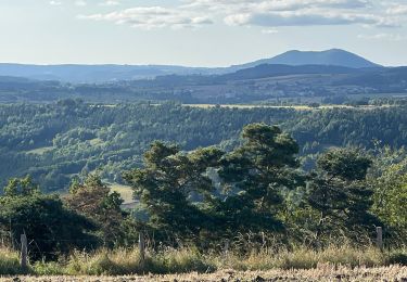 Tocht Stappen Blanzac - Rachat - Chapelle de Chassaleuil - Photo