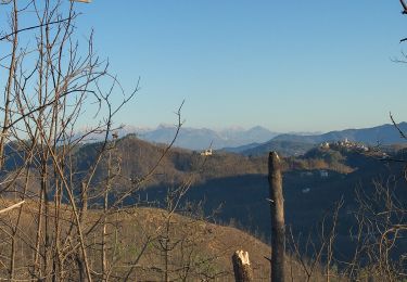 Percorso A piedi Sesta Godano - Arsina - Carrodano Superiore - Mattarana - Colle Gruzze - San Nicolao - Photo