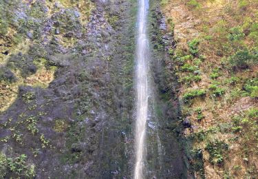Tour Wandern São Roque do Faial - Le chaudron vert  - Photo