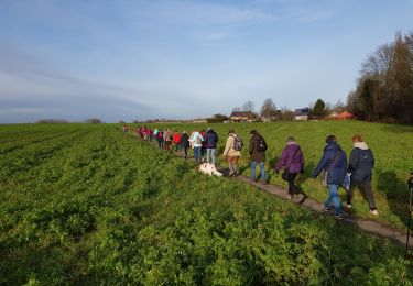 Randonnée Marche Seneffe - feluy 1219 - Photo