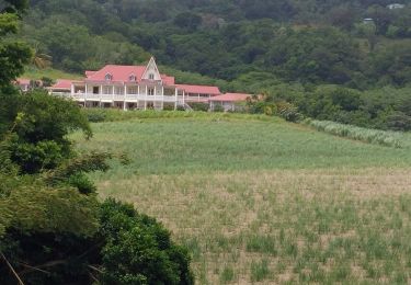 Excursión Senderismo La Trinité - cosmy- anse Richer-anse Lahoussaye-Etoile- anse Azerot-Cosmy - Photo