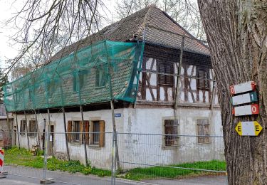 Randonnée A pied Hohenberg an der Eger - Hohenberg 3 - Photo