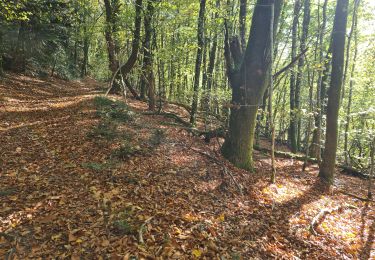 Tour Wandern Veix - Tour du Puy d'Orliac - Photo