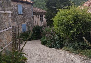 Excursión Bici de montaña Bruniquel - Bruniquel  - Photo