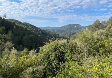 Tour Wandern Belgentier - Barre de Cuers depuis Belgentier - Photo