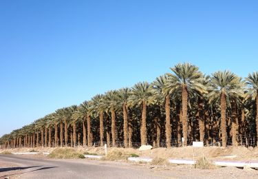 Excursión A pie מועצה אזורית חבל אילות - IL-20445 - Photo