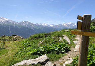 Excursión Senderismo Val-Cenis - l'arpont termignon  puis direction  lac de l'arpont en hors sentier - Photo