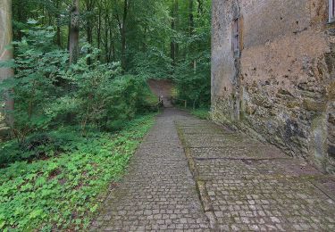 Tocht Te voet Rehburg-Loccum - Weg 3 - gelb - Wanderung im Loccumer Klosterwald - Photo